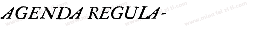 AGENDA REGULA字体转换